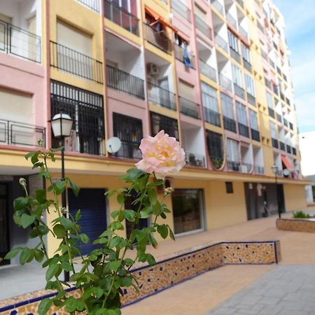 Econom Studio La Loma Lägenhet Torrevieja Exteriör bild